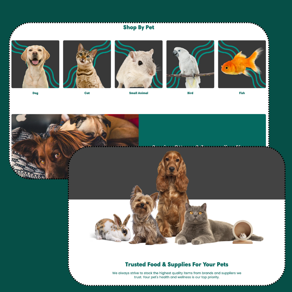 Healthy pets HQ website mockup