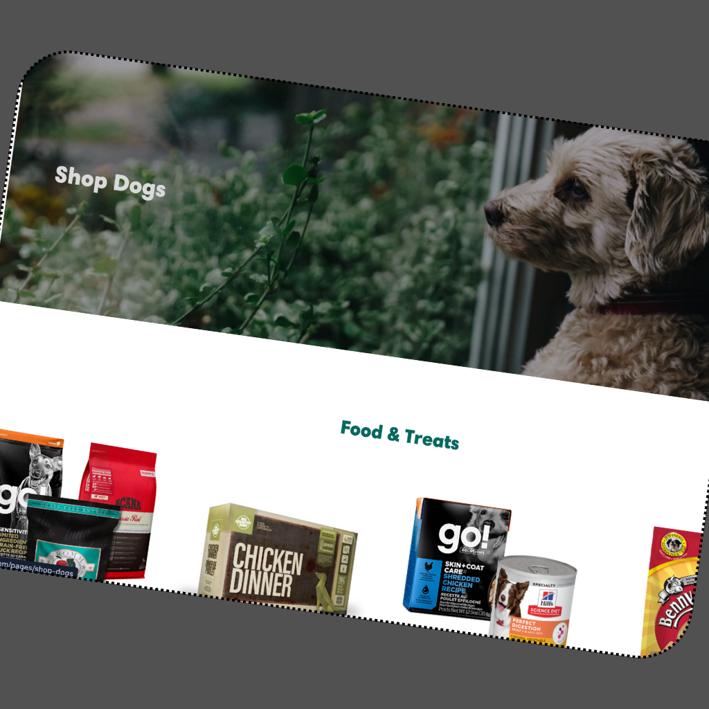 Healthy Pets HQ mockup