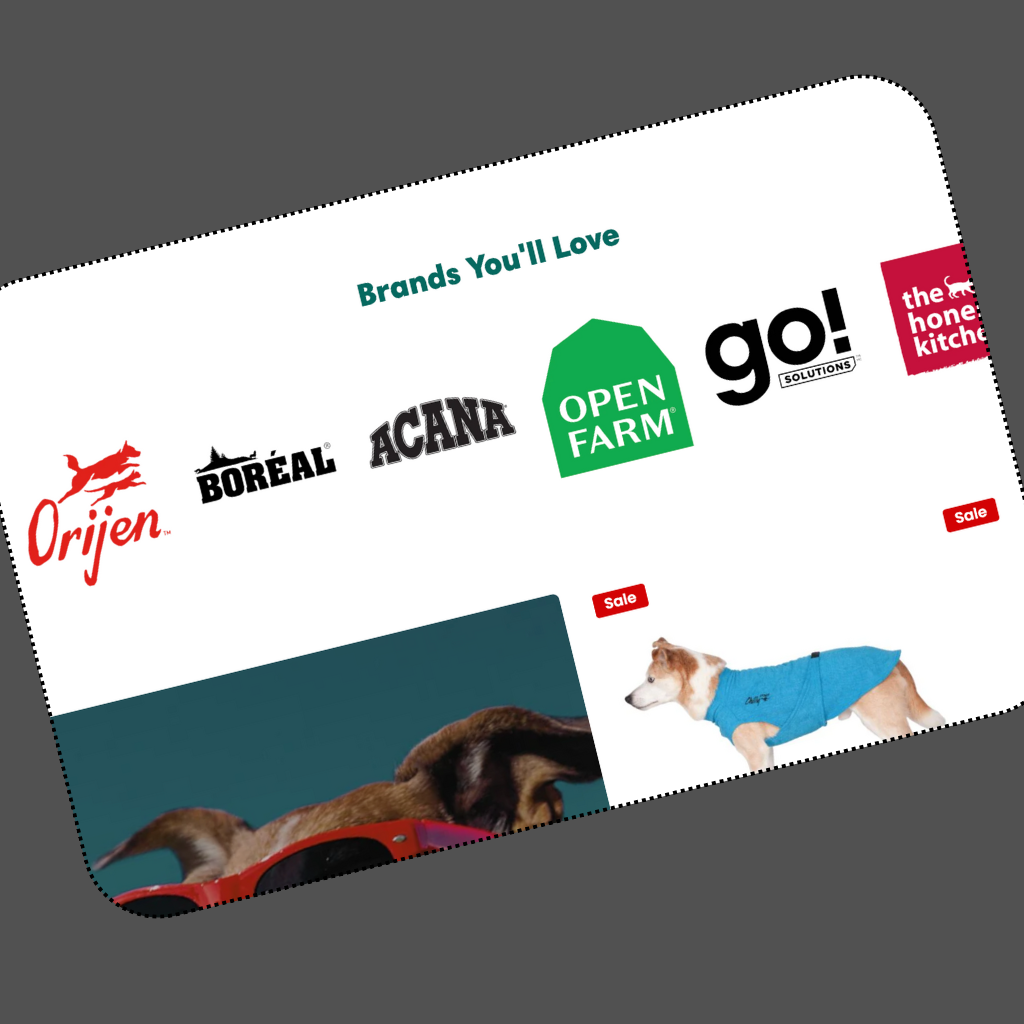 Healthy pets hq mockup